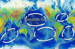 260px-North_Pacific_Gyre_World_Map