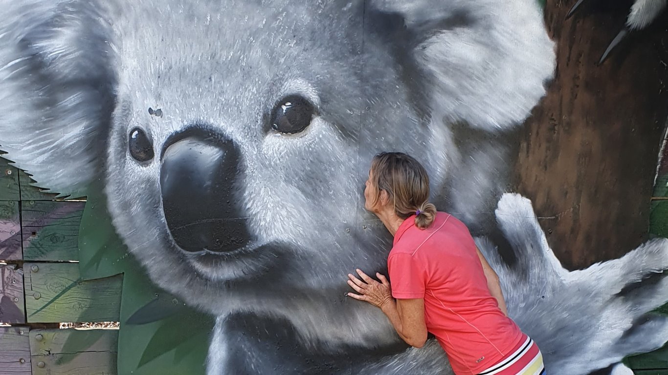 koala’s